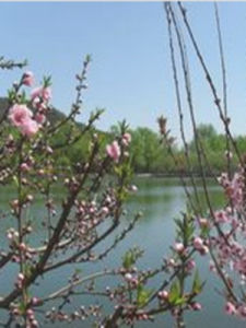 北國之春[蔣大為演唱歌曲]