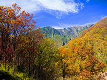 天竺山森林公園[陝西天竺山國家森林公園]