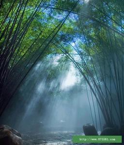 （圖）華僑城國際傳媒有限公司