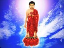 阿彌陀佛聖誕 阿彌陀佛聖誕