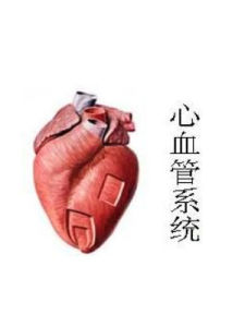 心血管疾病