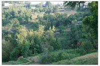 饒家社自然村 饒家社自然村