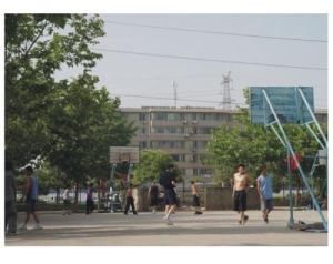 西安中育美佳電腦學校 西安中育美佳電腦學校