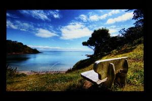 藍魔音悅匯T11AD