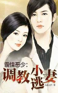 七喜丸子 七喜丸子