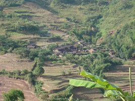 浦葉河村 浦葉河村