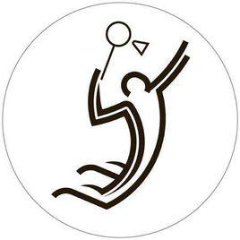 2017年世界羽毛球錦標賽 2017年世界羽毛球錦標賽