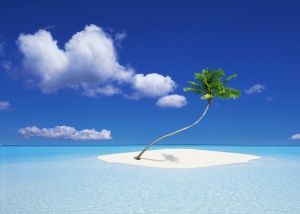 卓美亞維塔維麗 卓美亞維塔維麗