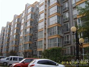 加洲陽光 加洲陽光