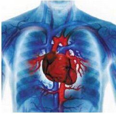 器官衰竭 器官衰竭