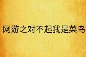 網遊之對不起我是菜鳥 網遊之對不起我是菜鳥
