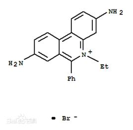 溴化乙啶 溴化乙啶