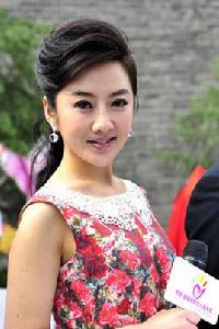 孫維[西安電視台節目主持人]