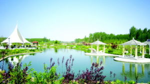 清水公園 清水公園