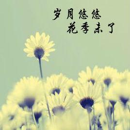 歲月悠悠 歲月悠悠