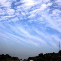 毛卷層雲 毛卷層雲