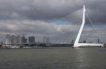 伊拉斯謨[荷蘭鹿特丹大學]