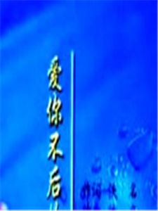 愛你不後悔 愛你不後悔