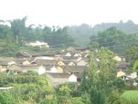 南林自然村 南林自然村