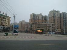 鎮區--紫來花園