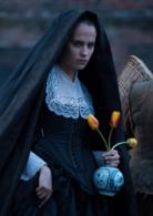 鬱金香狂熱[美國2017年艾麗西亞·維坎德主演電影]