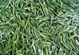 漢水銀梭 漢水銀梭