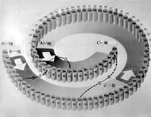 人工合成胰島素 人工合成胰島素