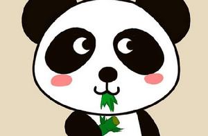 卡通動物手機壁紙