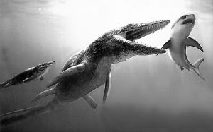 巨頭幻龍 巨頭幻龍