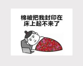 我被被子封印了 我被被子封印了