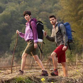 安迪維特 安迪維特