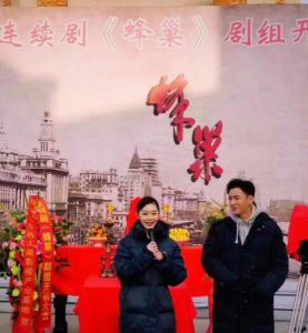 蜂巢[2018年韓棟、宋軼主演諜戰劇]