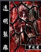 透明裂痕 透明裂痕