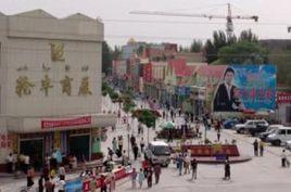 9.21新疆輪台暴恐案 9.21新疆輪台暴恐案