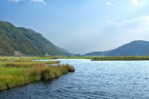 北海濕地保護區 北海濕地保護區