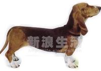 諾曼第阿圖瓦犬