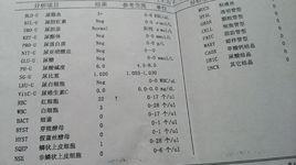 尿隱血2+ 尿隱血2+