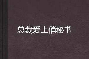 總裁愛上俏秘書 總裁愛上俏秘書