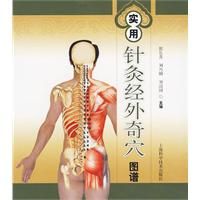 實用針灸經外奇穴圖譜 實用針灸經外奇穴圖譜
