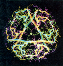 分子矯正醫學 分子矯正醫學