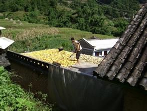 中邦歪自然村 中邦歪自然村