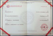 中國品牌創新發展工程證