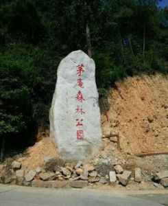 茅庵森林公園 茅庵森林公園