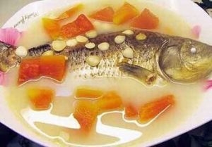 木瓜魚湯 木瓜魚湯