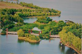 合肥城市森林公園 合肥城市森林公園