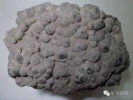 葡萄狀集合體 葡萄狀集合體