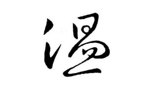 溫姓源流 溫姓源流