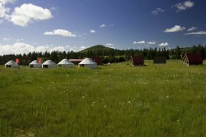 內蒙古白音敖包自然保護區 內蒙古白音敖包自然保護區