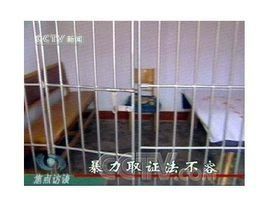 暴力取證罪 暴力取證罪