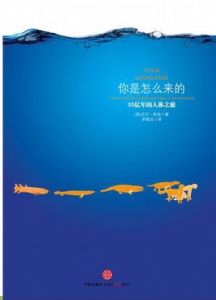 你是怎么來的 你是怎么來的